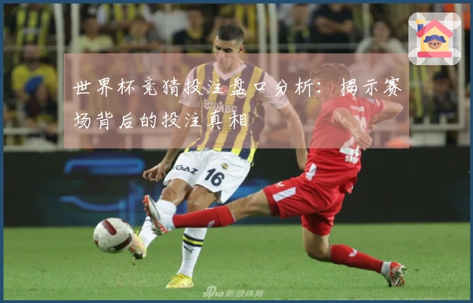 世界杯竞猜投注盘口分析：揭示赛场背后的投注真相