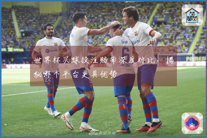 世界杯买球投注赔率深度对比，揭秘哪个平台更具优势