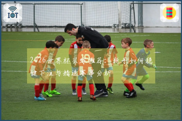 2026世界杯买球推荐：新手如何稳健下注与精选赛事分析