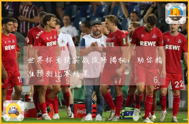 世界杯竞猜实战技巧揭秘，助你精准预测比赛结果