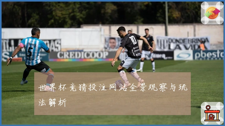 世界杯竞猜投注网站全景观察与玩法解析