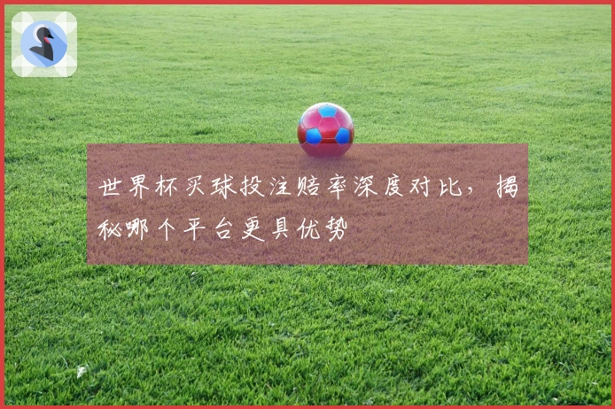 世界杯买球投注赔率深度对比，揭秘哪个平台更具优势