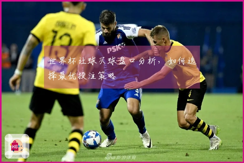 世界杯让球买球盘口分析，如何选择最优投注策略