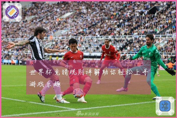 世界杯竞猜规则详解助你轻松上手游戏乐趣