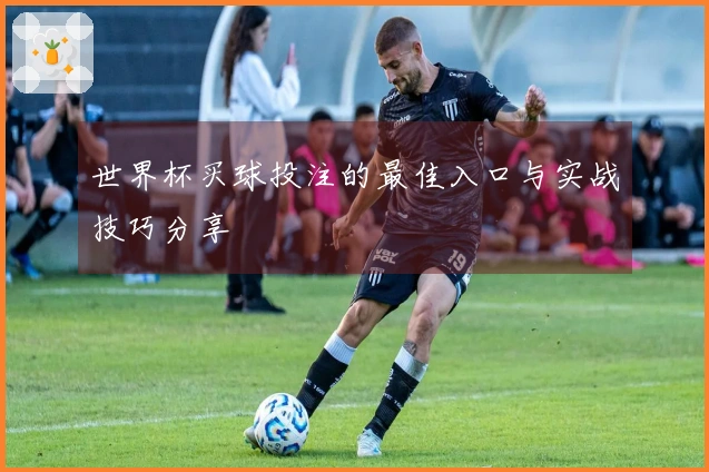 世界杯买球投注的最佳入口与实战技巧分享