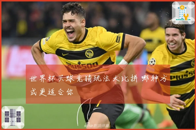 世界杯买球竞猜玩法大比拼 哪种方式更适合你