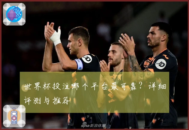 世界杯投注哪个平台最可靠？详细评测与推荐