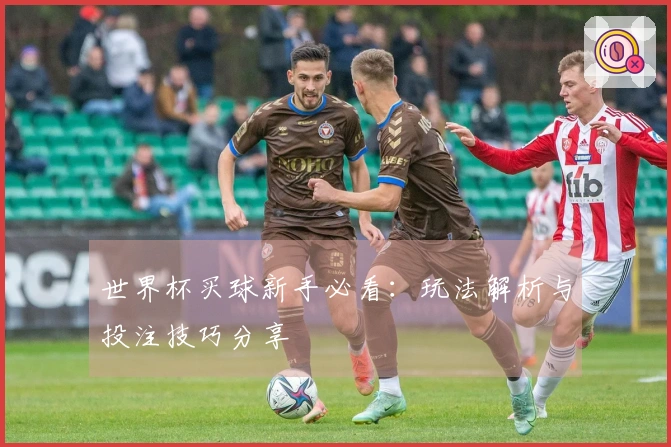 世界杯买球新手必看：玩法解析与投注技巧分享