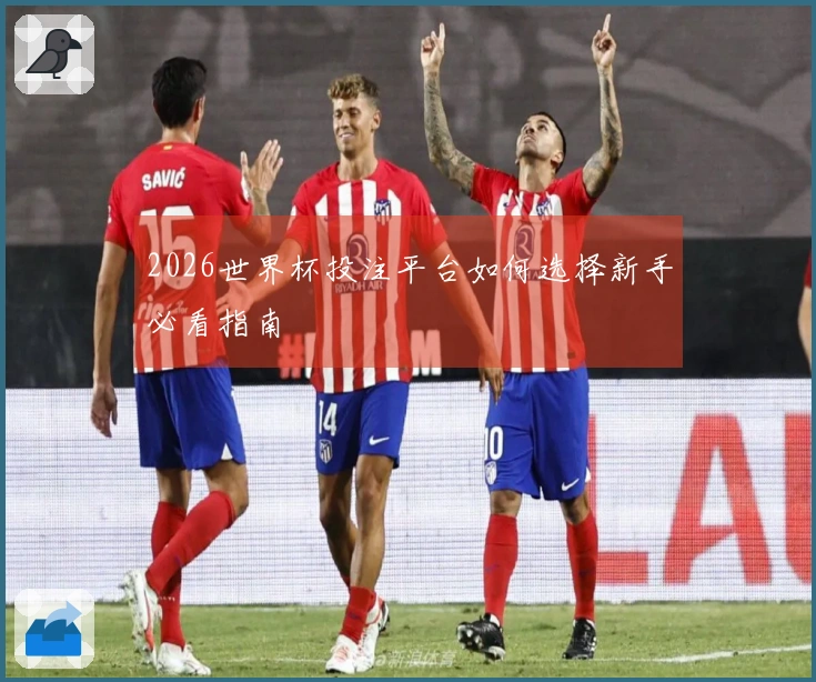 2026世界杯投注平台如何选择新手必看指南