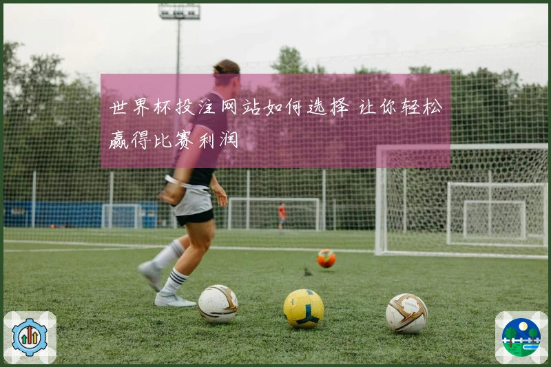 世界杯投注网站如何选择 让你轻松赢得比赛利润