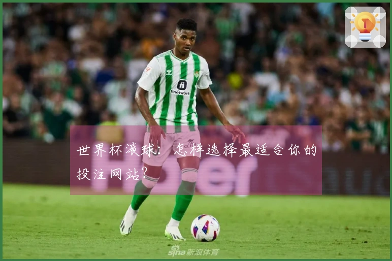 世界杯滚球：怎样选择最适合你的投注网站？