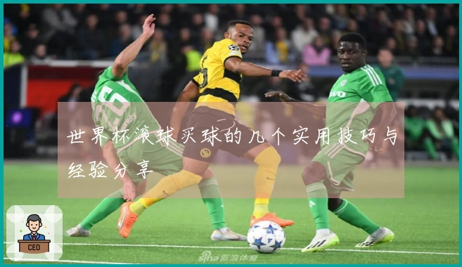 世界杯滚球买球的几个实用技巧与经验分享